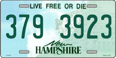 NH license plate 3793923