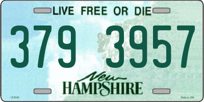 NH license plate 3793957