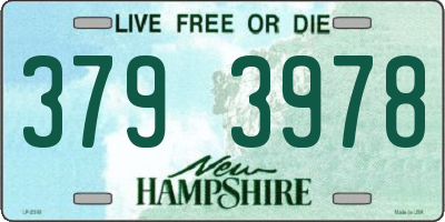 NH license plate 3793978
