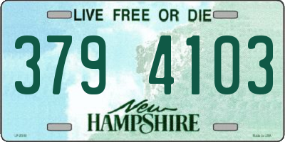 NH license plate 3794103