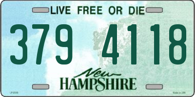 NH license plate 3794118