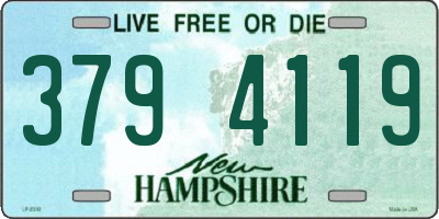 NH license plate 3794119