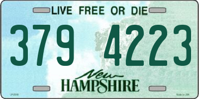 NH license plate 3794223