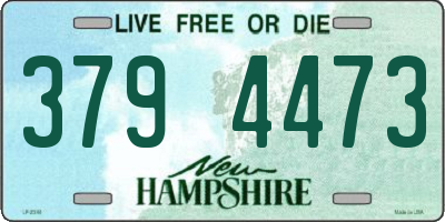 NH license plate 3794473