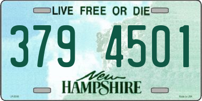NH license plate 3794501