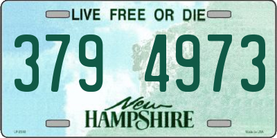 NH license plate 3794973
