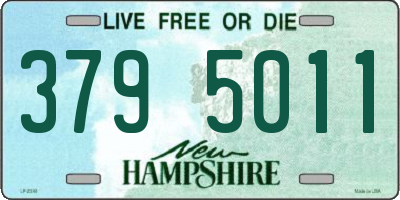 NH license plate 3795011