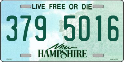 NH license plate 3795016