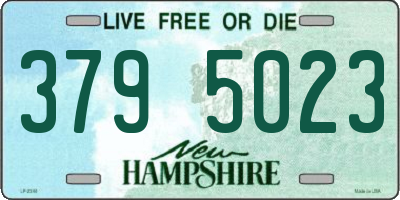 NH license plate 3795023