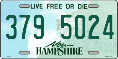 NH license plate 3795024