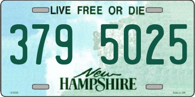 NH license plate 3795025