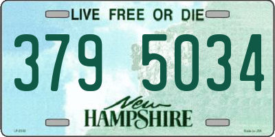 NH license plate 3795034