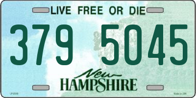 NH license plate 3795045