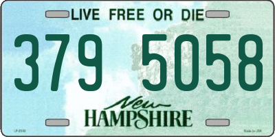 NH license plate 3795058