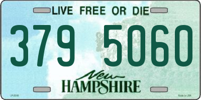 NH license plate 3795060