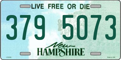 NH license plate 3795073