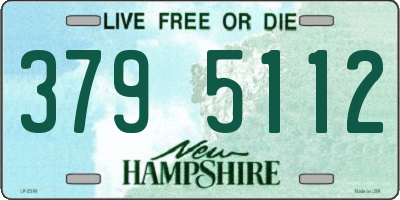 NH license plate 3795112