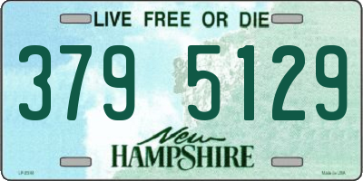 NH license plate 3795129