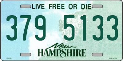 NH license plate 3795133