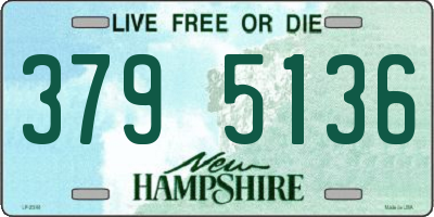 NH license plate 3795136