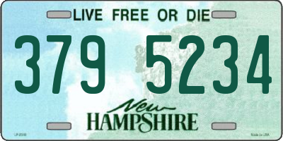 NH license plate 3795234