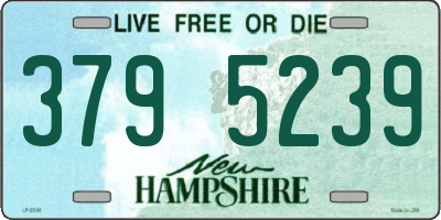 NH license plate 3795239
