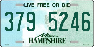 NH license plate 3795246