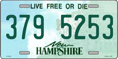 NH license plate 3795253