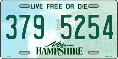 NH license plate 3795254