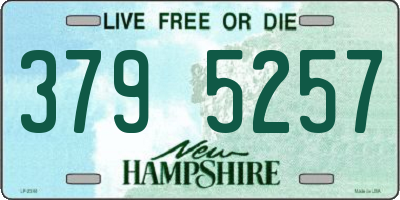 NH license plate 3795257