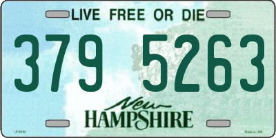NH license plate 3795263