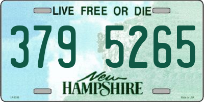 NH license plate 3795265