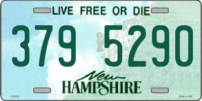 NH license plate 3795290