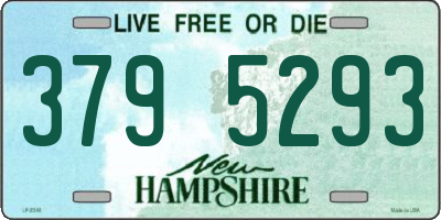 NH license plate 3795293