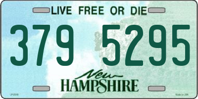 NH license plate 3795295