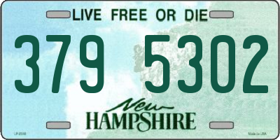 NH license plate 3795302