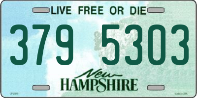 NH license plate 3795303