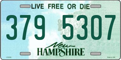 NH license plate 3795307