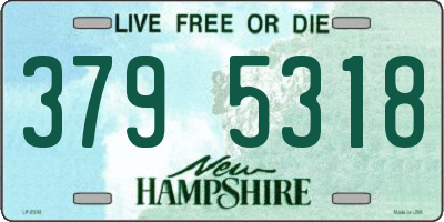 NH license plate 3795318