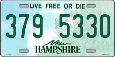 NH license plate 3795330