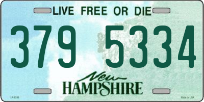 NH license plate 3795334