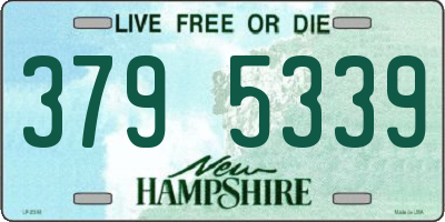 NH license plate 3795339