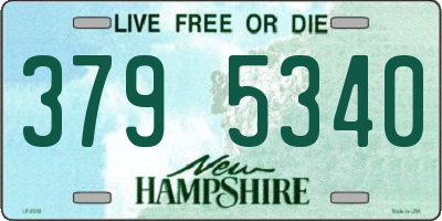 NH license plate 3795340