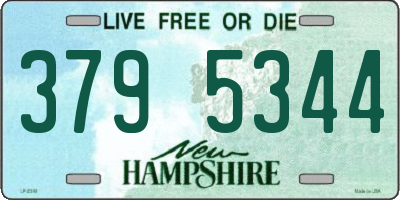 NH license plate 3795344