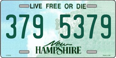 NH license plate 3795379