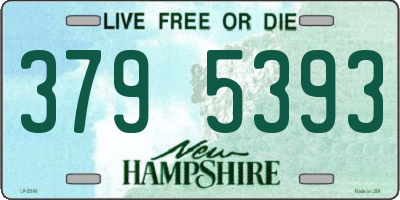 NH license plate 3795393