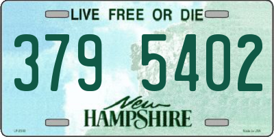 NH license plate 3795402