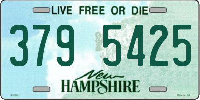 NH license plate 3795425