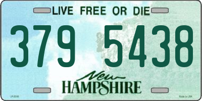 NH license plate 3795438