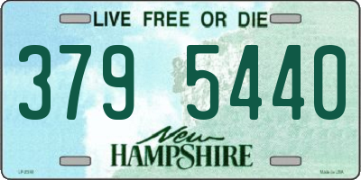 NH license plate 3795440